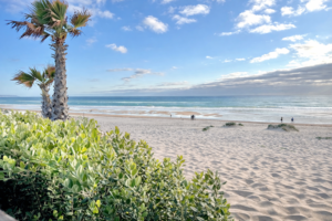 beach view restaurat