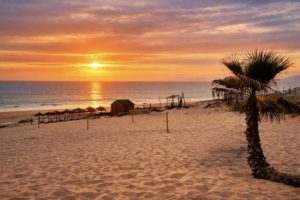 beautiful sunset 1
