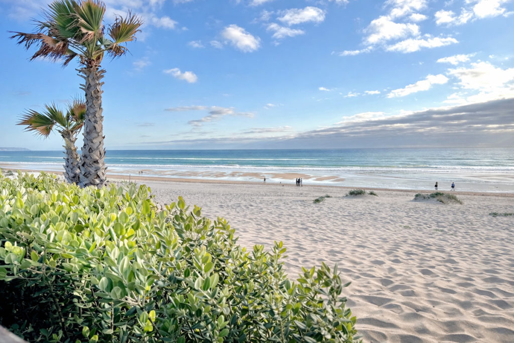 beach view