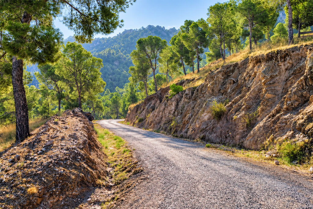 The narrow ridge road winding through pines along the top of the Serra da Arrábida