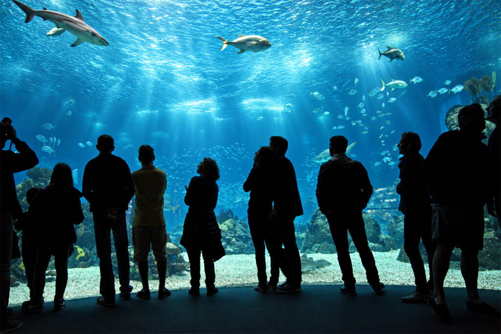 Visitors silhouetted against the huge central tank of the Oceanário