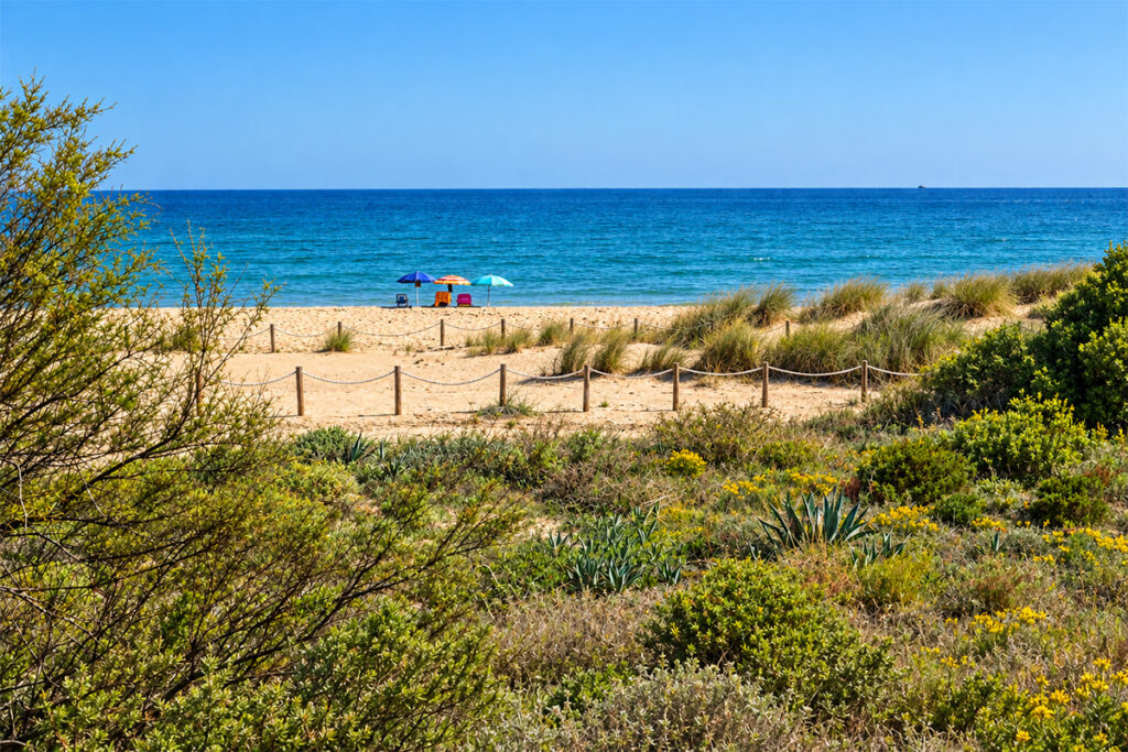 The dune path down to Les Deveses beach, umbrellas on the sand beyond
