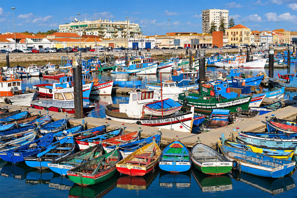 Colourful fishing boats crowded into the harbour at Setúbal