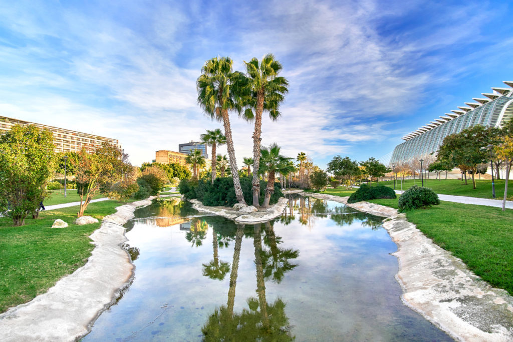Palm trees reflected in a pool in the Turia gardens, with the City of Arts and Sciences beyond