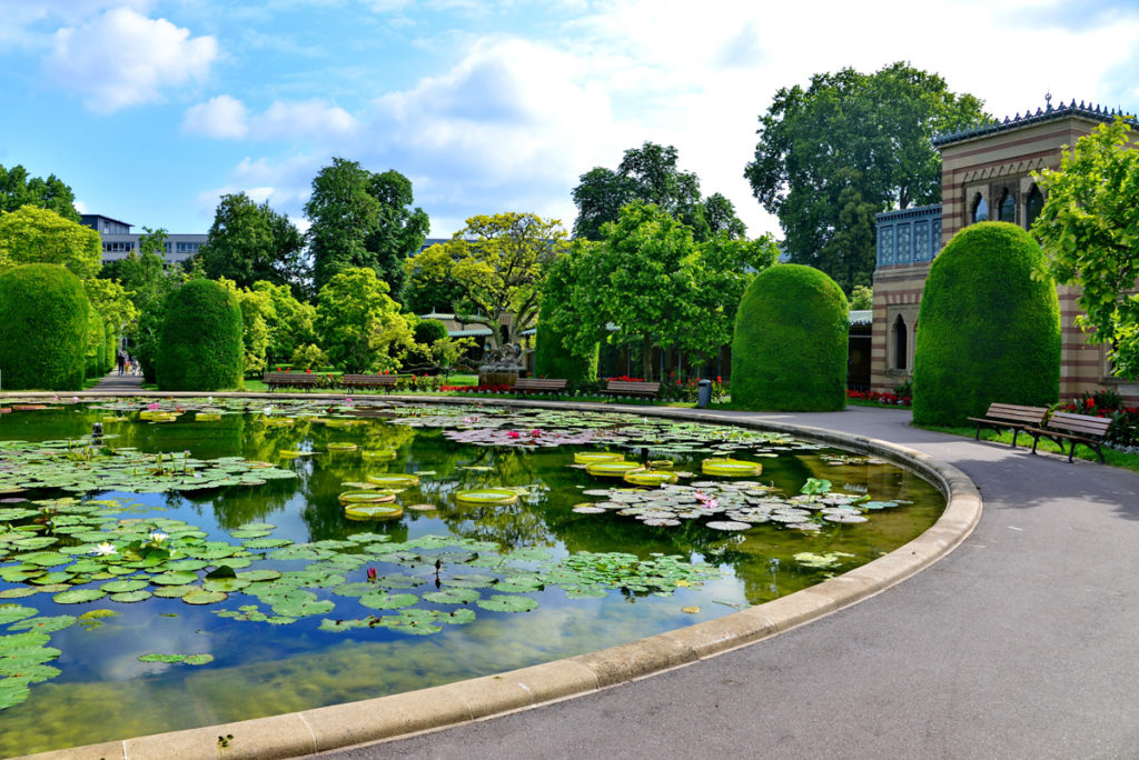 The water-lily pond in front of the Moorish villa at the Wilhelma